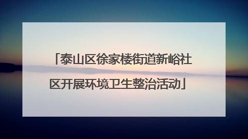 泰山区徐家楼街道新峪社区开展环境卫生整治活动