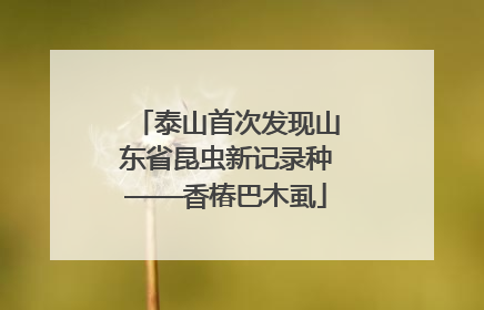 泰山首次发现山东省昆虫新记录种——香椿巴木虱