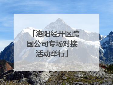 洛阳经开区跨国公司专场对接活动举行