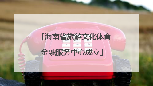 海南省旅游文化体育金融服务中心成立