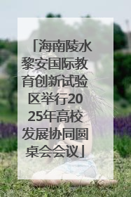 海南陵水黎安国际教育创新试验区举行2025年高校发展协同圆桌会会议
