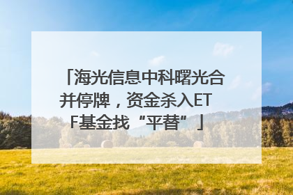 海光信息中科曙光合并停牌，资金杀入ETF基金找“平替”