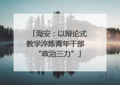 海安：以辩论式教学淬炼青年干部“政治三力”