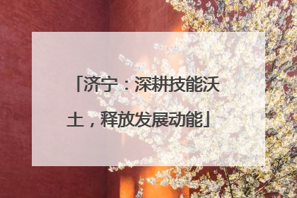 济宁：深耕技能沃土，释放发展动能