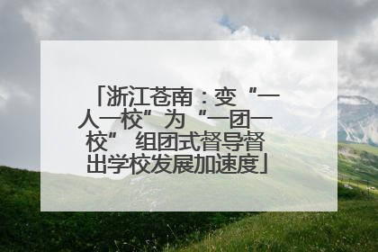 浙江苍南：变“一人一校”为“一团一校” 组团式督导督出学校发展加速度