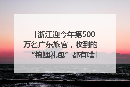 浙江迎今年第500万名广东旅客，收到的“锦鲤礼包”都有啥