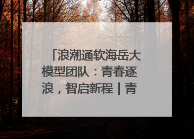 浪潮通软海岳大模型团队：青春逐浪，智启新程｜青春思政课
