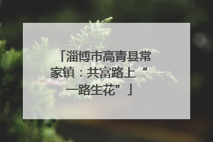 淄博市高青县常家镇：共富路上“一路生花”