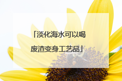 淡化海水可以喝 废渣变身工艺品