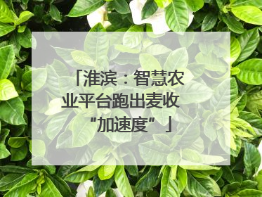 淮滨：智慧农业平台跑出麦收“加速度”