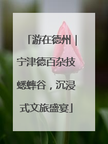 游在德州｜宁津德百杂技蟋蟀谷，沉浸式文旅盛宴