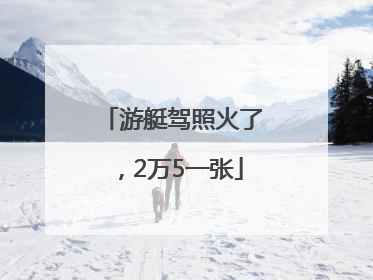 游艇驾照火了，2万5一张