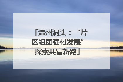 温州洞头：“片区组团强村发展”探索共富新路