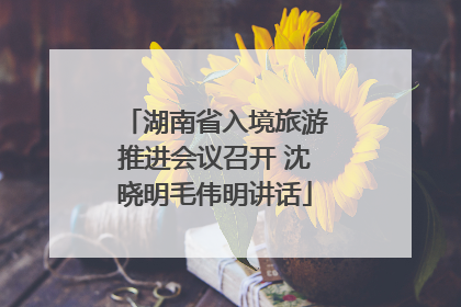 湖南省入境旅游推进会议召开 沈晓明毛伟明讲话