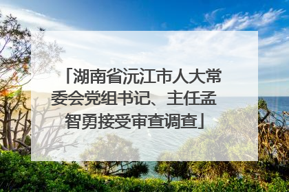 湖南省沅江市人大常委会党组书记、主任孟智勇接受审查调查