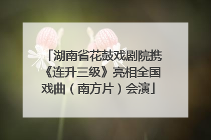湖南省花鼓戏剧院携《连升三级》亮相全国戏曲（南方片）会演