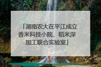 湖南农大在平江成立香米科技小院、稻米深加工联合实验室