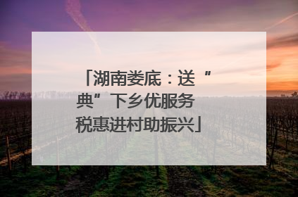 湖南娄底：送“典”下乡优服务 税惠进村助振兴