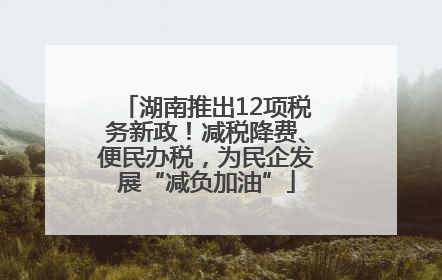 湖南推出12项税务新政！减税降费、便民办税，为民企发展“减负加油”