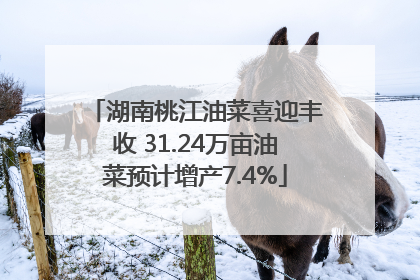 湖南桃江油菜喜迎丰收 31.24万亩油菜预计增产7.4%
