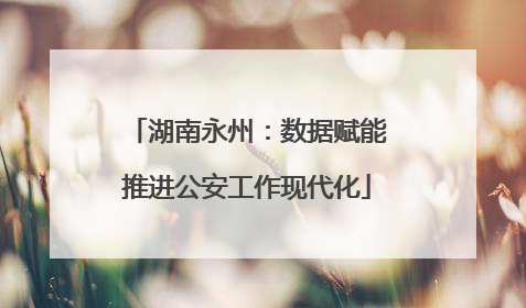湖南永州：数据赋能推进公安工作现代化