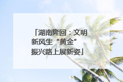 湖南隆回：文明新风生“黄金” 振兴路上展新姿