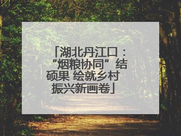 湖北丹江口：“烟粮协同”结硕果 绘就乡村振兴新画卷