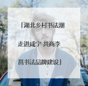 湖北乡村书法潮走进咸宁 共商李邕书法品牌建设