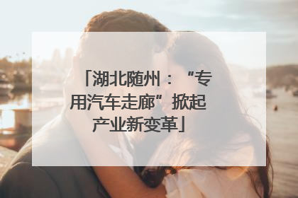 湖北随州：“专用汽车走廊”掀起产业新变革