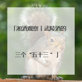 湘酒观察丨武陵酒的三个“五十三 ”