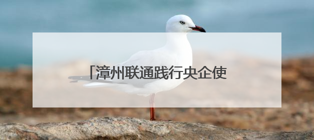 漳州联通践行央企使命 以通信赋能构建民生服务创新生态