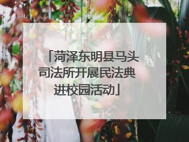 菏泽东明县马头司法所开展民法典进校园活动