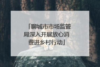 聊城市市场监管局深入开展放心消费进乡村行动