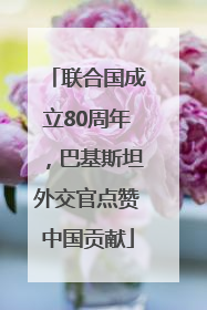 联合国成立80周年，巴基斯坦外交官点赞中国贡献