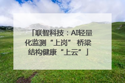 联智科技：AI轻量化监测“上岗” 桥梁结构健康“上云”