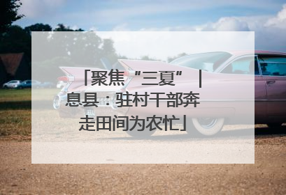 聚焦“三夏”｜息县：驻村干部奔走田间为农忙
