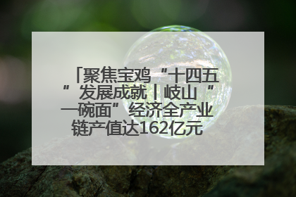 聚焦宝鸡“十四五”发展成就丨岐山“一碗面”经济全产业链产值达162亿元 入选全国典型县
