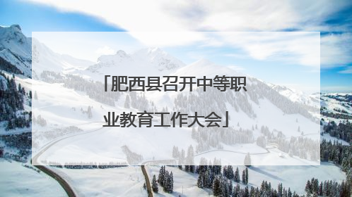 肥西县召开中等职业教育工作大会