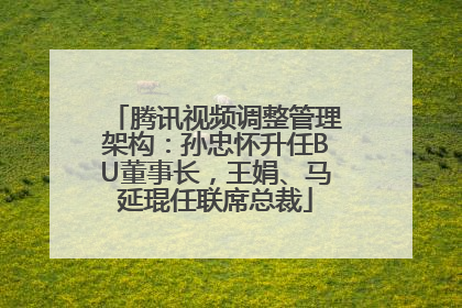 腾讯视频调整管理架构：孙忠怀升任BU董事长，王娟、马延琨任联席总裁