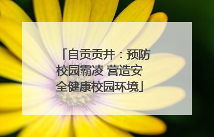 自贡贡井：预防校园霸凌 营造安全健康校园环境