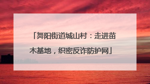 舞阳街道城山村：走进苗木基地，织密反诈防护网
