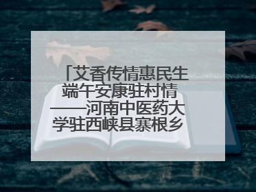 艾香传情惠民生 端午安康驻村情——河南中医药大学驻西峡县寨根乡桑树村工作队端午中医惠民记