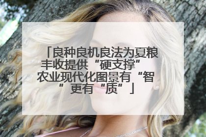 良种良机良法为夏粮丰收提供“硬支撑” 农业现代化图景有“智”更有“质”