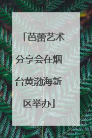 芭蕾艺术分享会在烟台黄渤海新区举办