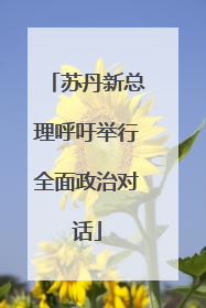 苏丹新总理呼吁举行全面政治对话