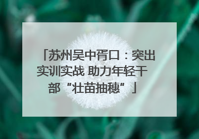 苏州吴中胥口：突出实训实战 助力年轻干部“壮苗抽穗”