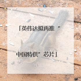 英伟达拟再推“中国特供”芯片