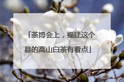 茶博会上，福建这个县的高山白茶有看点