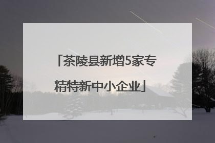 茶陵县新增5家专精特新中小企业