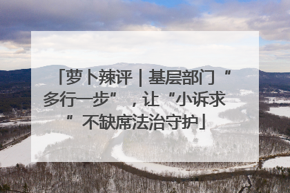萝卜辣评｜基层部门“多行一步”，让“小诉求”不缺席法治守护